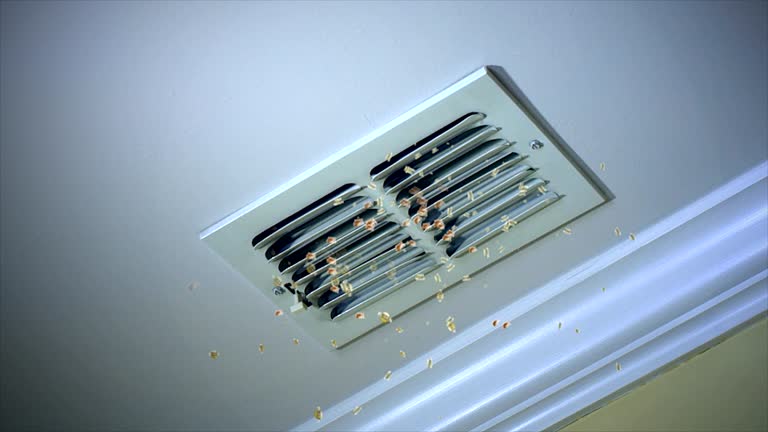 Best Home Air Vent Cleaning  in Tumter, WA